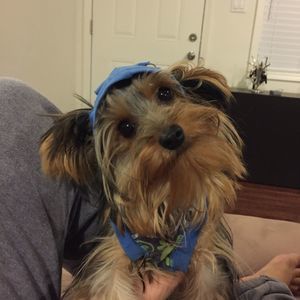 Meet your Posher, Sandra